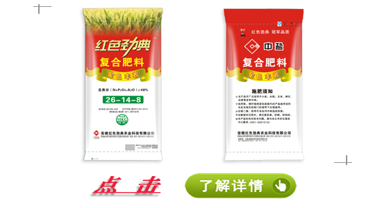 91视频精品黄色网91视频最新入口