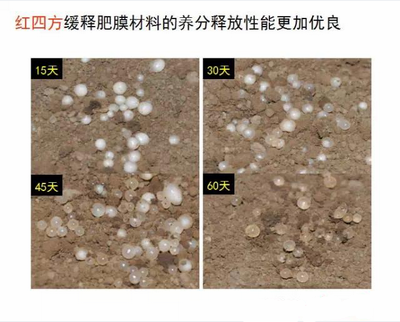 91视频精品黄色网缓释肥膜材料养分释放性更优良