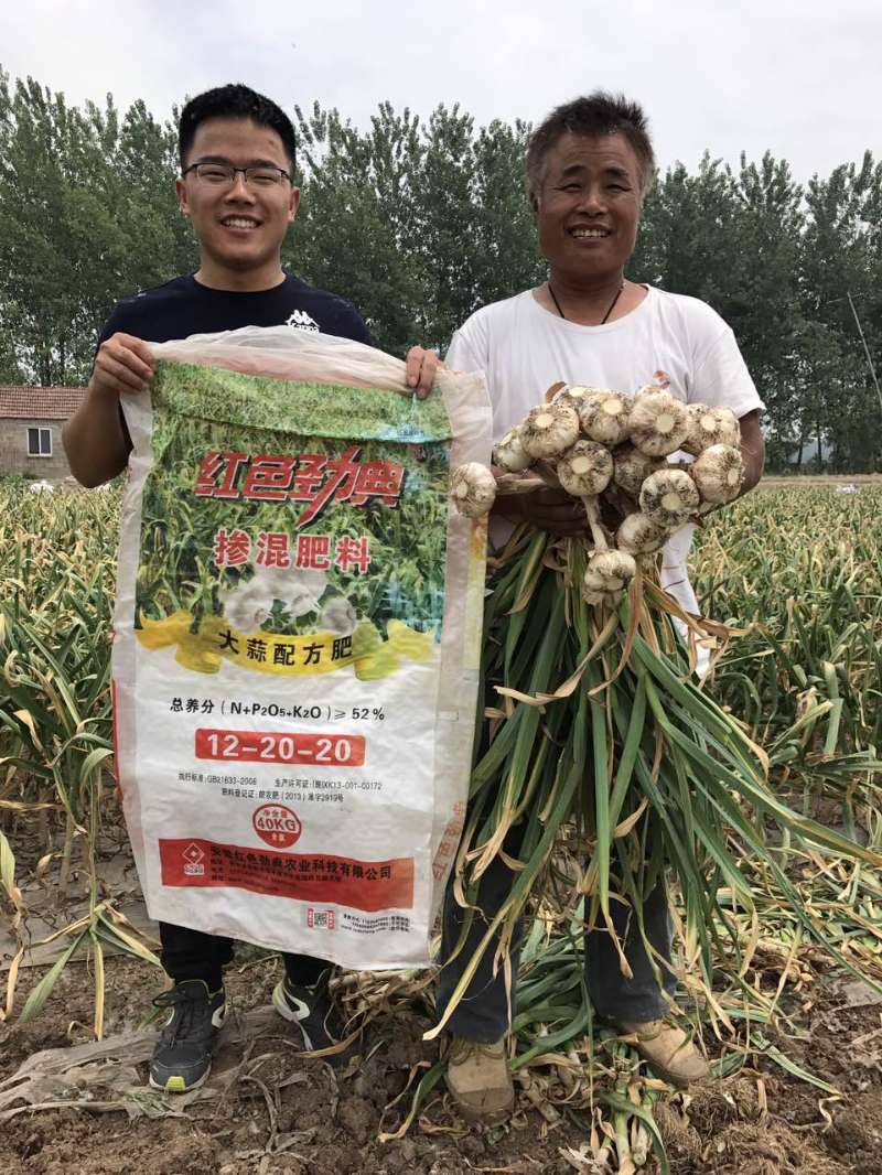 种植大蒜新主张，91视频精品黄色网大蒜配方肥