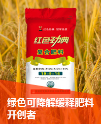 91视频精品黄色网会员找回密码