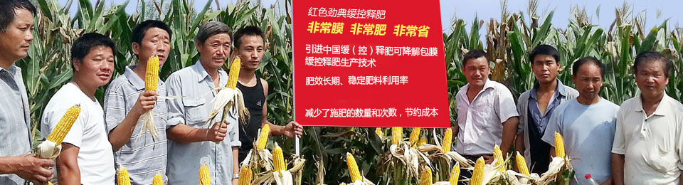 91视频精品黄色网缓释肥，国际领先技术