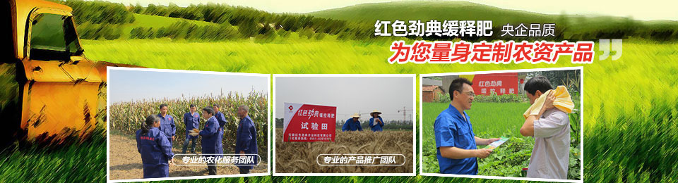 91视频精品黄色网，冠军品质，五星服务